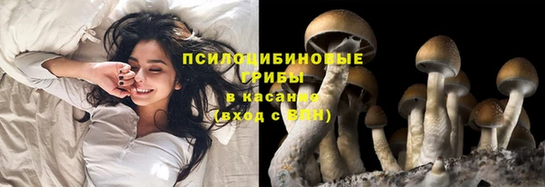 СК Алексеевка