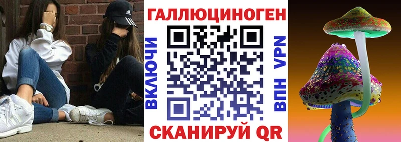 Галлюциногенные грибы Psilocybine cubensis  Каргат 